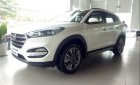 Hyundai Tucson  2.0  2019 - Bán Hyundai Tucson 2.0 sản xuất năm 2019, màu trắng