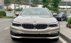 BMW 5 Series 530i Luxury Line 2019 - Cần bán xe BMW 5 Series 530i Luxury Line đời 2019, xe nhập