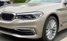 BMW 5 Series 530i Luxury Line 2019 - Cần bán xe BMW 5 Series 530i Luxury Line đời 2019, xe nhập