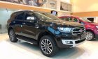 Ford Everest Titanium 2.0L 4x4 AT 2019 - Bán Ford Everest Titanium 2.0L 4x4 AT 2019, màu đen, nhập khẩu  