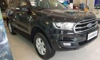 Ford Everest  AT  2019 - Cần bán Ford Everest AT 2019, màu đen, xe nhập, 949tr