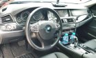 BMW 5 Series 528i 2010 - Bán BMW 528i năm sản xuất 2010, nhập khẩu