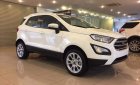 Ford EcoSport  1.5L AT Titanium 2019 - Bán ô tô Ford EcoSport đời 2019, màu trắng