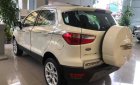 Ford EcoSport   2019 - Cần bán Ford EcoSport đời 2019, màu trắng, xe nhập