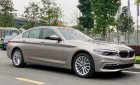 BMW 5 Series 530i Luxury Line 2019 - Cần bán xe BMW 5 Series 530i Luxury Line đời 2019, xe nhập