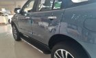 Ford Everest Titanium 2.0L 4x2 AT 2019 - Bán Ford Everest Titanium 2.0L 4x2 AT 2019, màu xanh lam, nhập khẩu