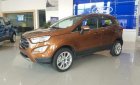 Ford EcoSport   2019 - Bán Ford EcoSport năm sản xuất 2019, màu nâu, giá tốt