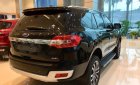 Ford Everest Titanium 2.0L 4x4 AT 2019 - Bán Ford Everest Titanium 2.0L 4x4 AT 2019, màu đen, nhập khẩu  