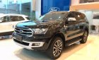 Ford Everest Titanium 2.0L 4x4 AT 2019 - Bán Ford Everest Titanium 2.0L 4x4 AT 2019, màu đen, nhập khẩu  