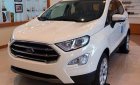 Ford EcoSport  1.5L AT Titanium 2019 - Bán ô tô Ford EcoSport đời 2019, màu trắng