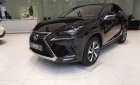 Lexus NX   300 2019 - Bán xe Lexus NX 300 sản xuất 2019, màu đen, nhập khẩu