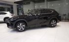 Lexus NX   300 2019 - Bán xe Lexus NX 300 sản xuất 2019, màu đen, nhập khẩu