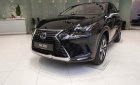 Lexus NX   300 2019 - Bán xe Lexus NX 300 sản xuất 2019, màu đen, nhập khẩu