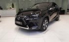 Lexus NX   300 2019 - Bán xe Lexus NX 300 sản xuất 2019, màu đen, nhập khẩu