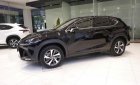 Lexus NX   300 2019 - Bán xe Lexus NX 300 sản xuất 2019, màu đen, nhập khẩu