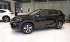 Lexus NX   300 2019 - Bán xe Lexus NX 300 sản xuất 2019, màu đen, nhập khẩu