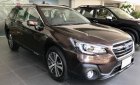 Subaru Outback 2.5i-S EyeSight 2019 - Bán xe Subaru Outback 2.5i-S EyeSight đời 2019, màu nâu, nhập khẩu, xe đẹp