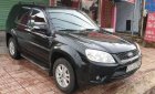 Ford Escape   2010 - Cần bán Ford Escape sản xuất 2010, màu đen, nhập khẩu, giá 450tr