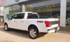 Ford F 150 2018 - Cần bán Ford F 150 Platinum sản xuất 2018 model 2019, màu trắng, nhập khẩu