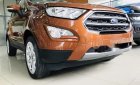 Ford EcoSport 2019 - Cần bán xe Ford EcoSport đời 2019, giá chỉ 521 triệu