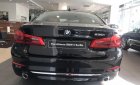 BMW 5 Series 530i Luxury 2018 - Bán BMW 5 Series 530i Luxury năm sản xuất 2018, màu đen, nhập khẩu  