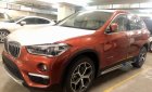 BMW X1 sDrive18i 2018 - Bán BMW X1 tại Đà Nẵng - Xe chưa đăng ký