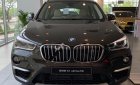 BMW X1 sDrive18i 2018 - Bán xe BMW X1 sDrive18i đời 2018, màu nâu, nhập khẩu nguyên chiếc