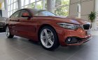 BMW 4 Series 420i Gran Coupe Sport 2019 - BMW 420i Gran Coupe 2019 vừa cập cảng, giao xe ngay