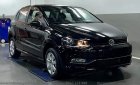 Volkswagen Polo 1.6 2019 - Bán ô tô Volkswagen Polo năm 2019, màu đen, nhập khẩu nguyên chiếc