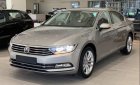 Volkswagen Passat GP 2018 - Bán ô tô Volkswagen Passat Bluemotion sản xuất 2018, xe nhập