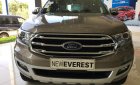 Ford Everest Titanium 4x4 2019 - Bán Ford Everest Titanium 4x4 đời 2019, màu xám (ghi), nhập khẩu nguyên chiếc