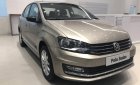 Volkswagen Polo 2017 - Bán xe Đức Volkswagen Polo đời 2017, nhập khẩu mới nguyên chiếc