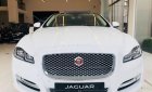 Jaguar XJ series L Portfolio 2019 - Bán ô tô Jaguar XJ series L Portfolio đời 2019, màu trắng, xe nhập