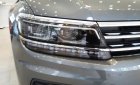Volkswagen Tiguan G 2019 - Cần bán xe Volkswagen Tiguan G 2019, màu bạc, nhập khẩu chính hãng