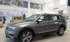 Volkswagen Tiguan G 2019 - Cần bán xe Volkswagen Tiguan G 2019, màu bạc, nhập khẩu chính hãng