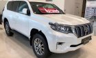 Toyota Prado VX 2.7L 2019 - Cần bán Toyota Prado VX 2.7L năm 2019, màu trắng, nhập khẩu Nhật Bản