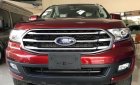 Ford Everest 2.0 Ambient 2019 - Bán ô tô Ford Everest 2.0 Ambient sản xuất năm 2019