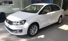 Volkswagen Polo   2019 - Bán ô tô Volkswagen Polo năm 2019, màu trắng, nhập khẩu nguyên chiếc, phân khúc B