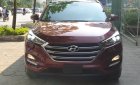 Hyundai Tucson 2.0AT   2015 - Bán Tucson 2.0 AT đặc biệt - nhập khẩu nguyên chiếc. Biển thành phố. Giá 829tr - có thương lượng