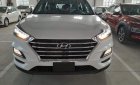 Hyundai Tucson     2019 - Bán xe Hyundai Tucson đời 2019, màu trắng, giá tốt