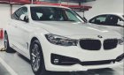 BMW 3 Series  320i GT  2019 - Cần bán BMW 320i GT màu trắng 2019, mới 100%