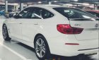 BMW 3 Series  320i GT  2019 - Cần bán BMW 320i GT màu trắng 2019, mới 100%