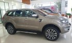 Ford Everest Titanium AT 4x2 2019 - Bán gấp Everest, giảm tiền mặt và tặng quà lên đến 100 triệu