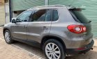 Volkswagen Tiguan 2.0 TSI 2008 - Bán xe Volkswagen Tiguan 2.0 TSI năm sản xuất 2008, màu xám, xe nhập