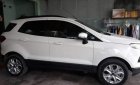 Ford EcoSport   2017 - Cần bán lại xe Ford EcoSport năm sản xuất 2017, màu trắng, xe nhập