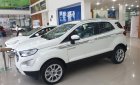 Ford EcoSport Titanium 1.5L 2019 - Bán Ford EcoSport Titanium 1.5L 2019, giảm tiền mặt gần 50 triệu