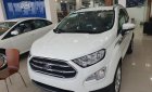 Ford EcoSport Titanium 1.5L 2019 - Bán Ford EcoSport Titanium 1.5L 2019, giảm tiền mặt gần 50 triệu