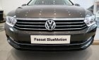 Volkswagen Passat   Bluemotion 2018 - Bán Passat Bluemotion 4 chỗ nhập Đức, giao ngay