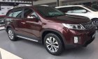 Kia Sorento 2019 - Cần bán xe Kia Sorento sản xuất năm 2019, màu đỏ, giá 799tr