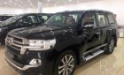 Toyota Land Cruiser  5.7 Autobiography MBS 2019 - Bán Toyota Land Cruise 5.7 Autobiography MBS, 4 chỗ, 4 ghế massage, 2019, mới 100%